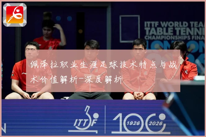 佩泽拉职业生涯足球技术特点与战术价值解析-深度解析