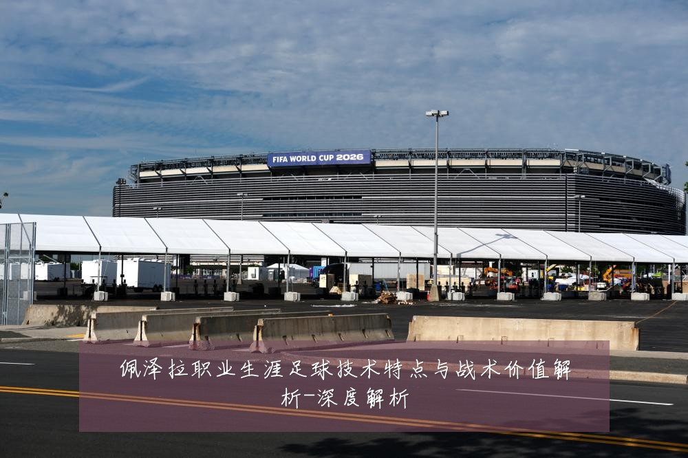 佩泽拉职业生涯足球技术特点与战术价值解析-深度解析