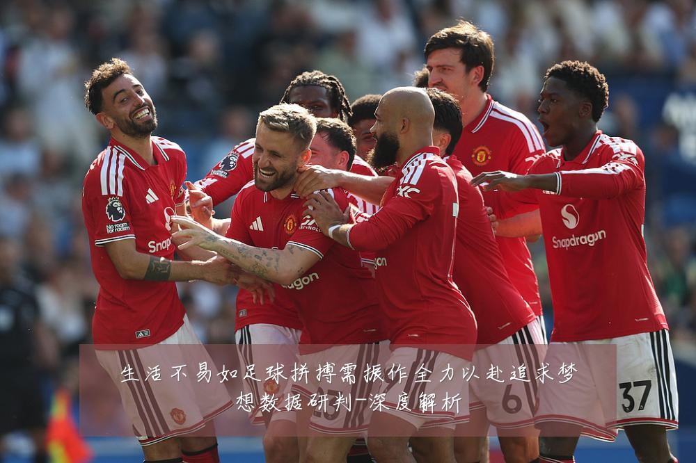 生活不易如足球拼搏需振作全力以赴追求梦想数据研判-深度解析